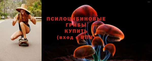 стаф Алексеевка
